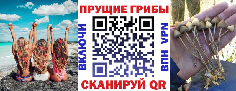 кракен рабочий сайт  Пойковский  Галлюциногенные грибы прущие грибы 